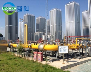 Lng gasification skid