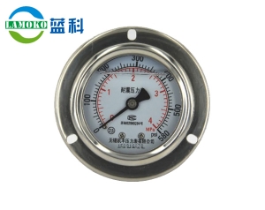 Vibration proof pressure gauge