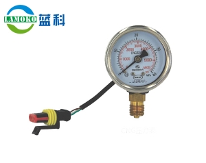 CNG pressure gauge