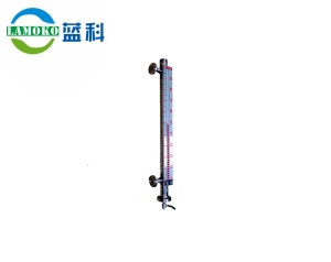 Buoyancy level gauge