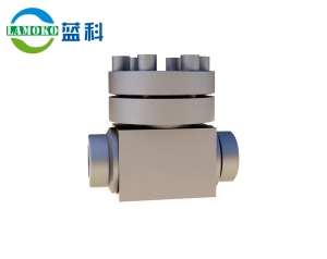 Low temperature check valve