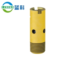 Low temperature check valve
