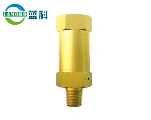 Cryogenic safety valve